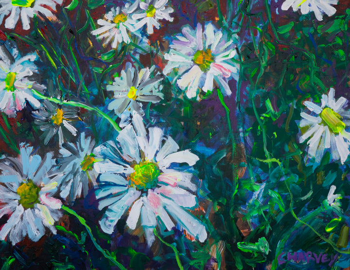 Burst of Daisies: Matted Print