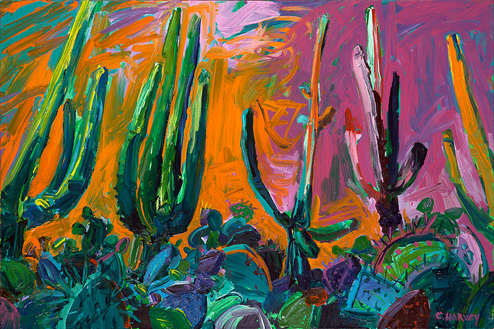Saguaro Sunset: Matted Print