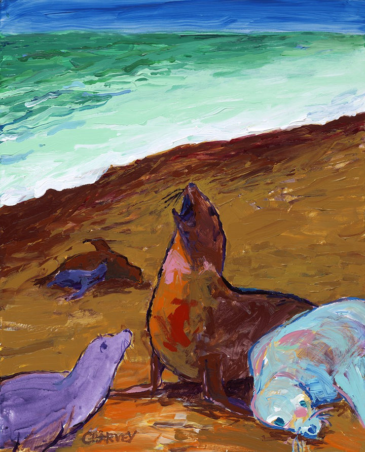 Seals on Sand: Giclée - Print on Canvas